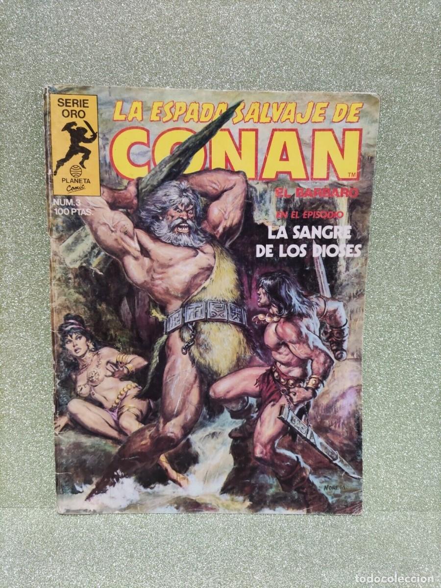 C&oacute;mics: COMIC - PLANETA COMIC- LA ESPADA SALVAJE DE CONAN N&ordm; 3 - Foto 1