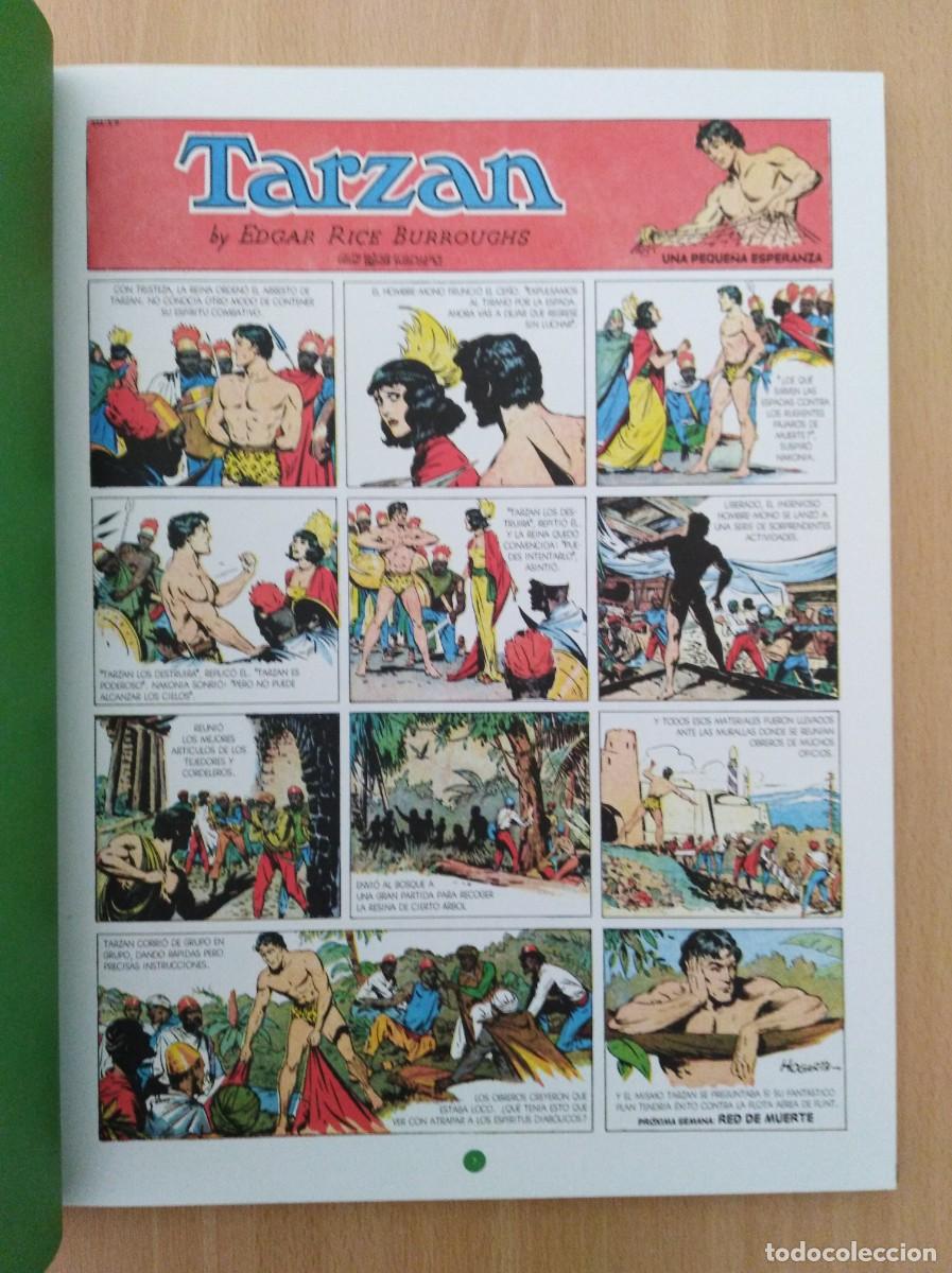 C&oacute;mics: TARZAN (1937-1939). Burroughs /Hogarth - Foto 4