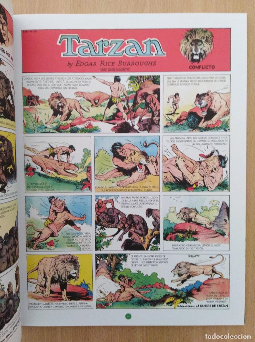 C&oacute;mics: TARZAN (1937-1939). Burroughs /Hogarth - Foto 7