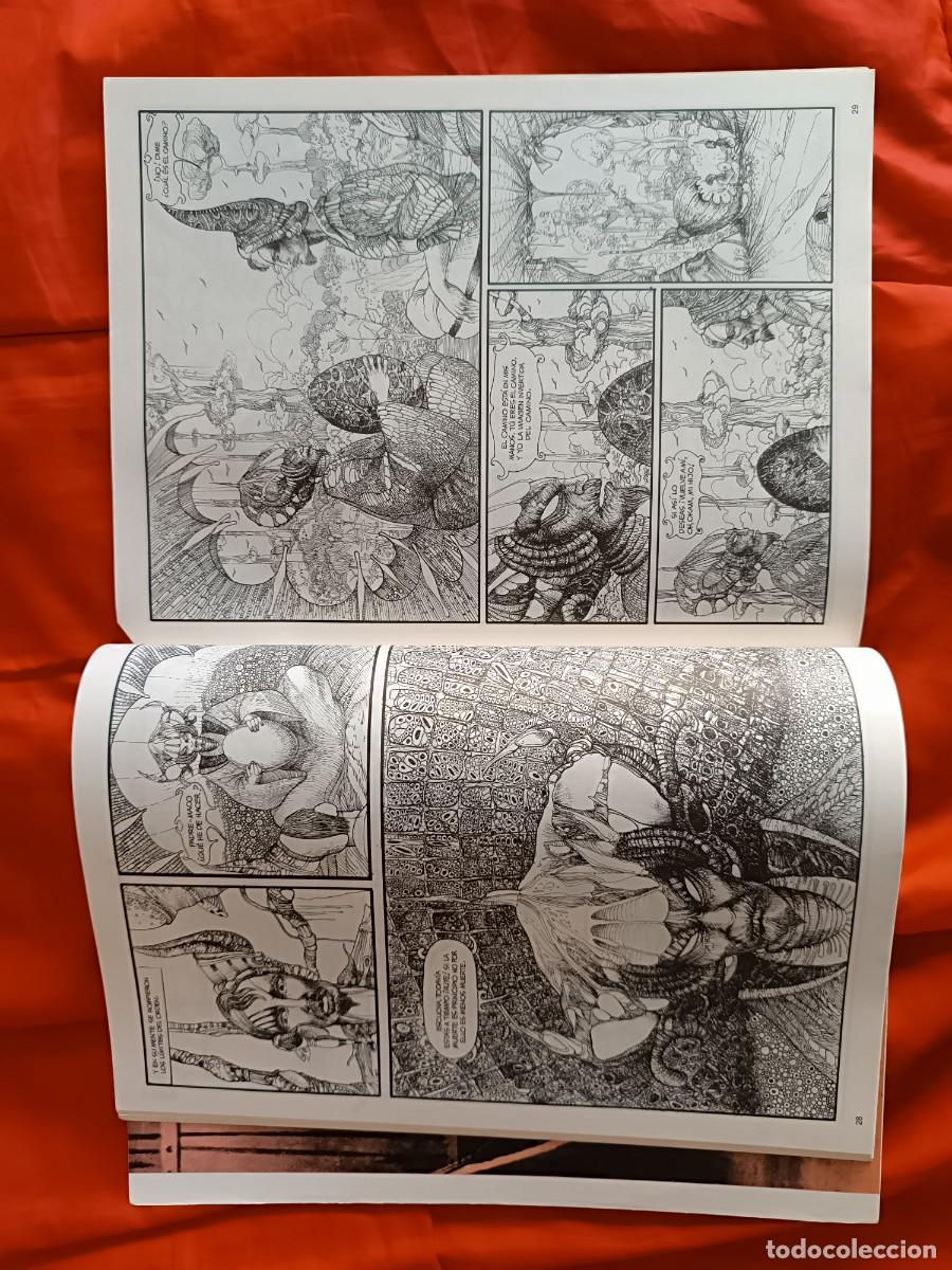 C&oacute;mics: Rampa 3 - Foto 2