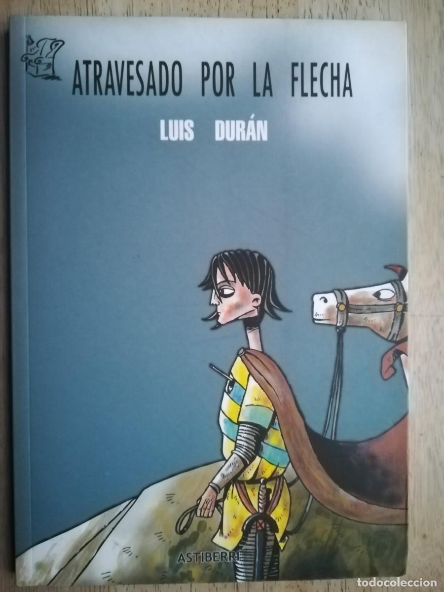 C&oacute;mics: Atravesado por la Flecha. Luis Dur&aacute;n. Astiberri. C&oacute;mic - Foto 1