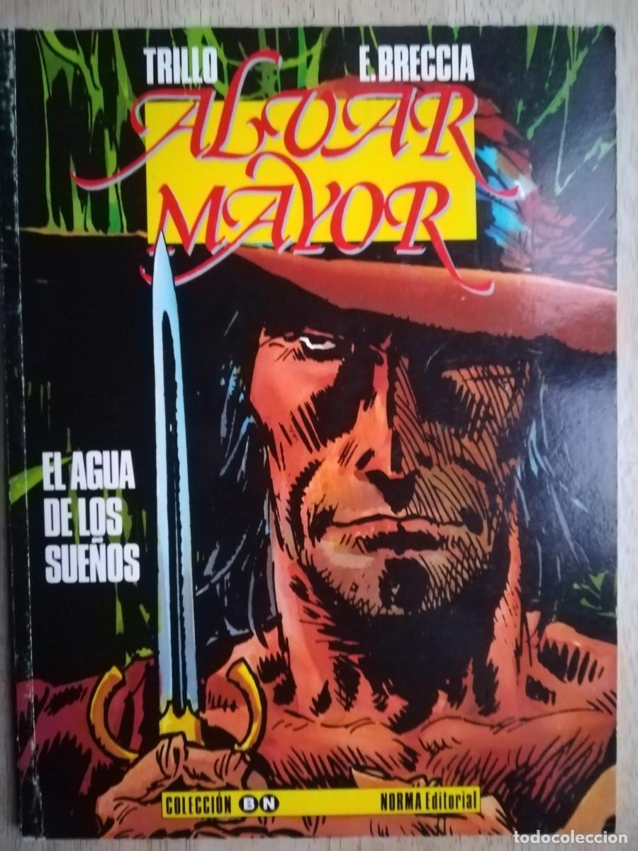 C&oacute;mics: Alvar Mayor. El agua de los sue&ntilde;os - Trillo / E. Breccia - Foto 1