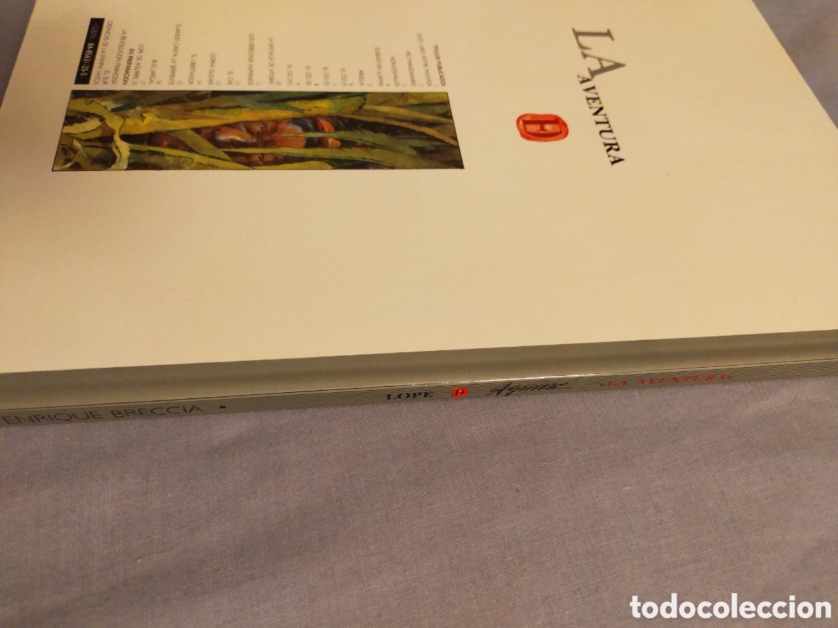 C&oacute;mics: Lope de Aguirre, de Breccia. Ikusager - Foto 3