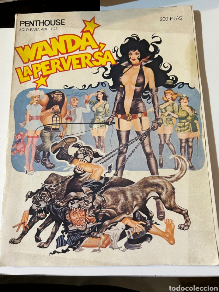 C&oacute;mics: C&oacute;mic Wanda, La Perversa - Foto 1