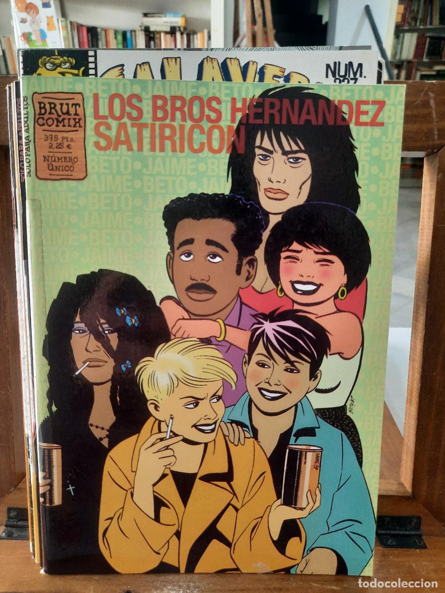 C&oacute;mics: Los Bros Hern&aacute;ndez, Satiric&oacute;n - N&uacute;mero &Uacute;nico - Brut Comix 2001 - Foto 1
