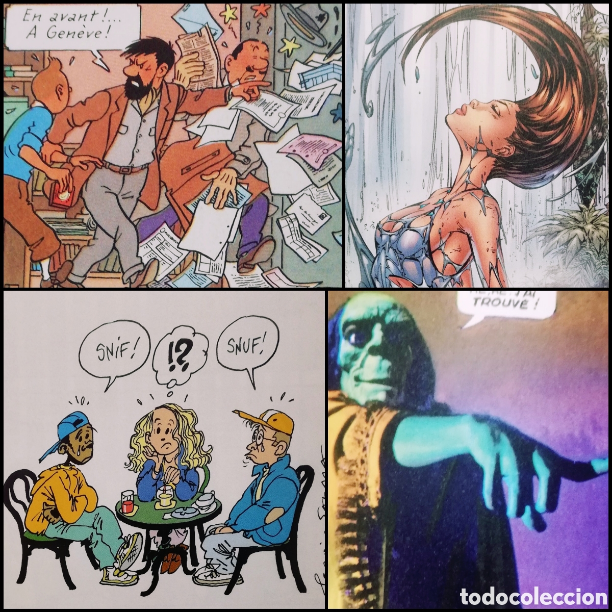 C&oacute;mics: C&oacute;mic en franc&eacute;s - Foto 4