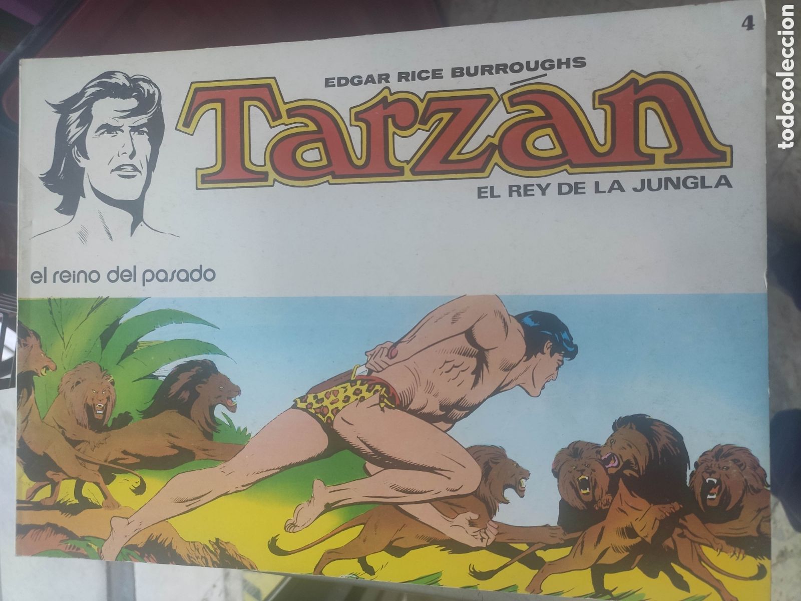 C&oacute;mics: TARZAN N&ordm; 4 EL REINO DEL PASADO. EDGAR RICE BURROUGHS - Foto 1
