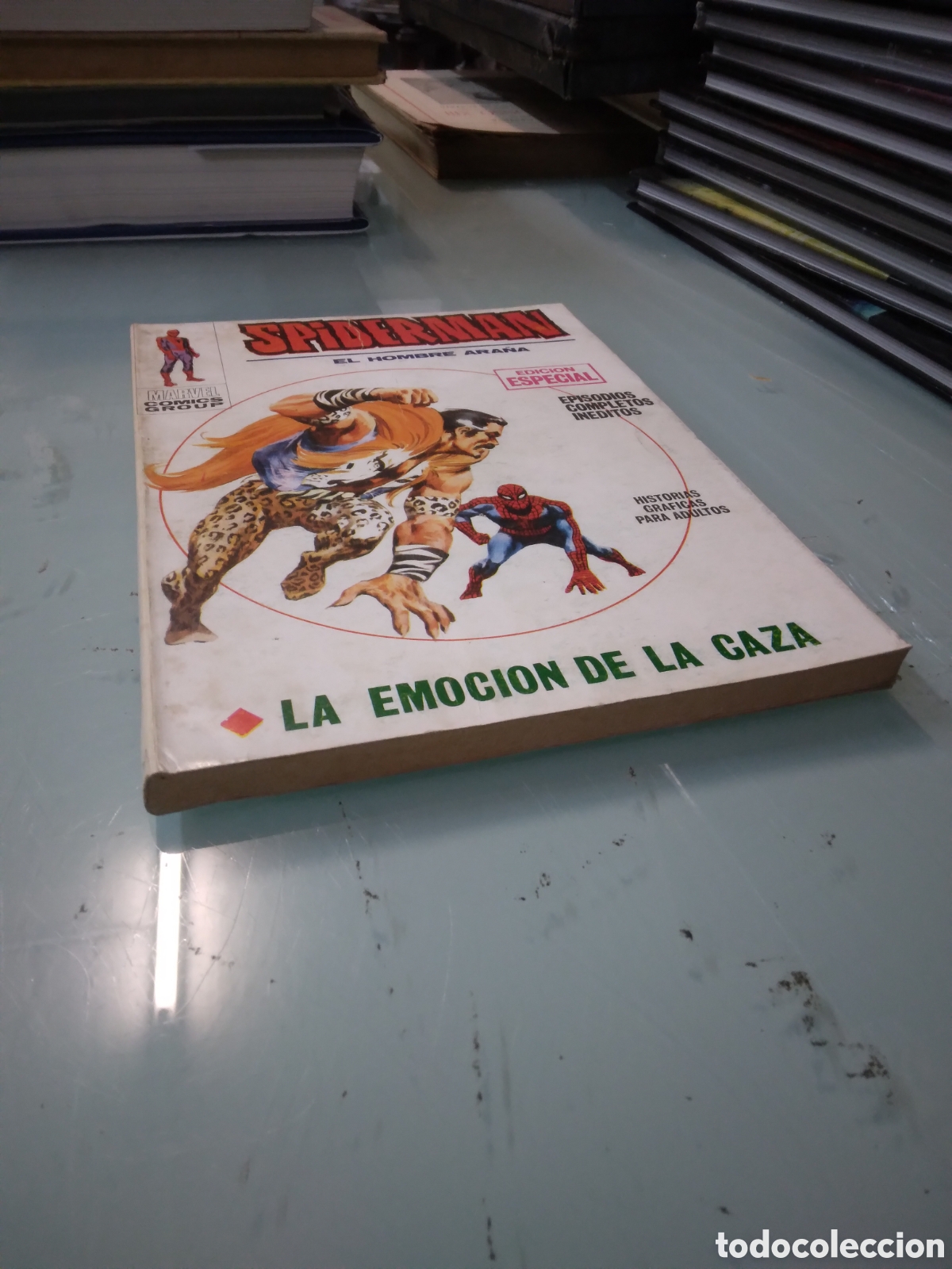 C&oacute;mics: Spiderman, Vertice, 13 - Foto 1