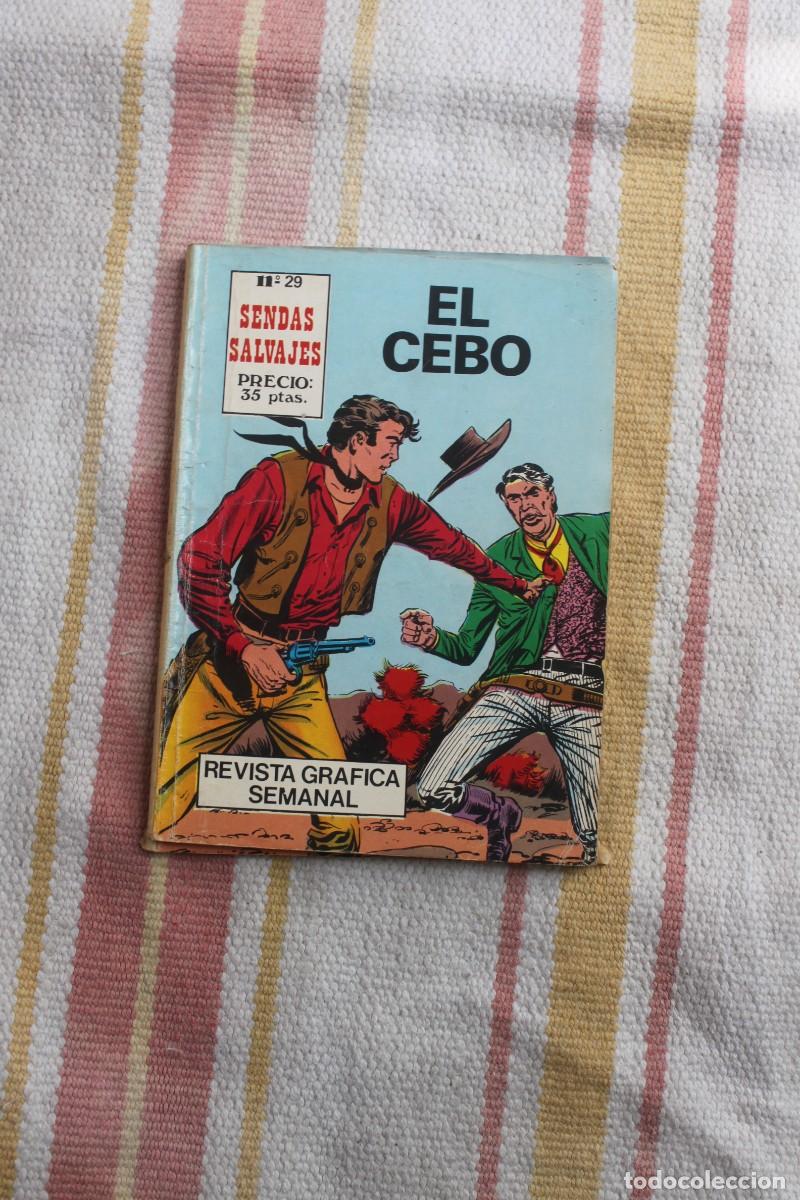 C&oacute;mics: COLECCION SENDAS SALVAJES N&ordm; 29: EL CEBO - Foto 1