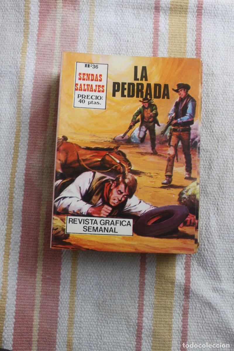 C&oacute;mics: COLECCION SENDAS SALVAJES N&ordm; 36 : LA PEDRADA - Foto 1
