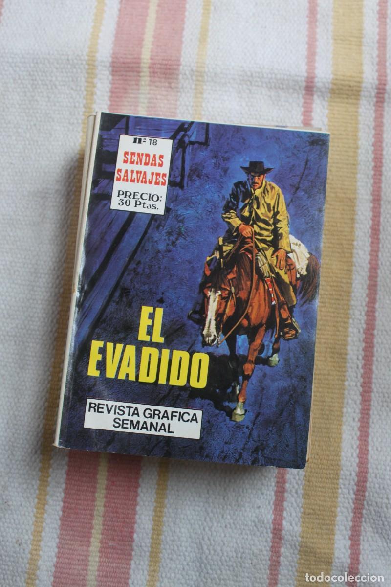 C&oacute;mics: COLECCION SENDAS SALVAJES N&ordm; 18 : EL EVADIDO - Foto 1