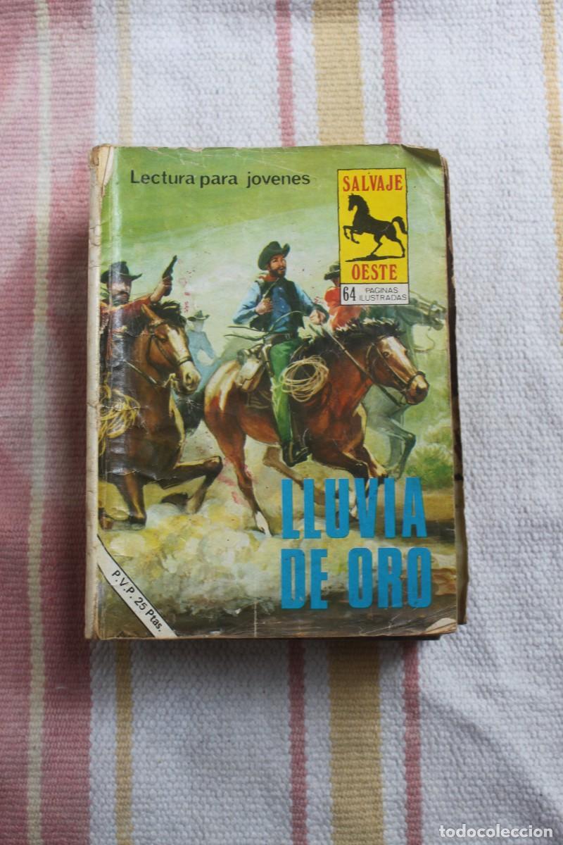 C&oacute;mics: COLECCION SALVAJE OESTE N&ordm; 303 : LLUVIA DE ORO - Foto 1