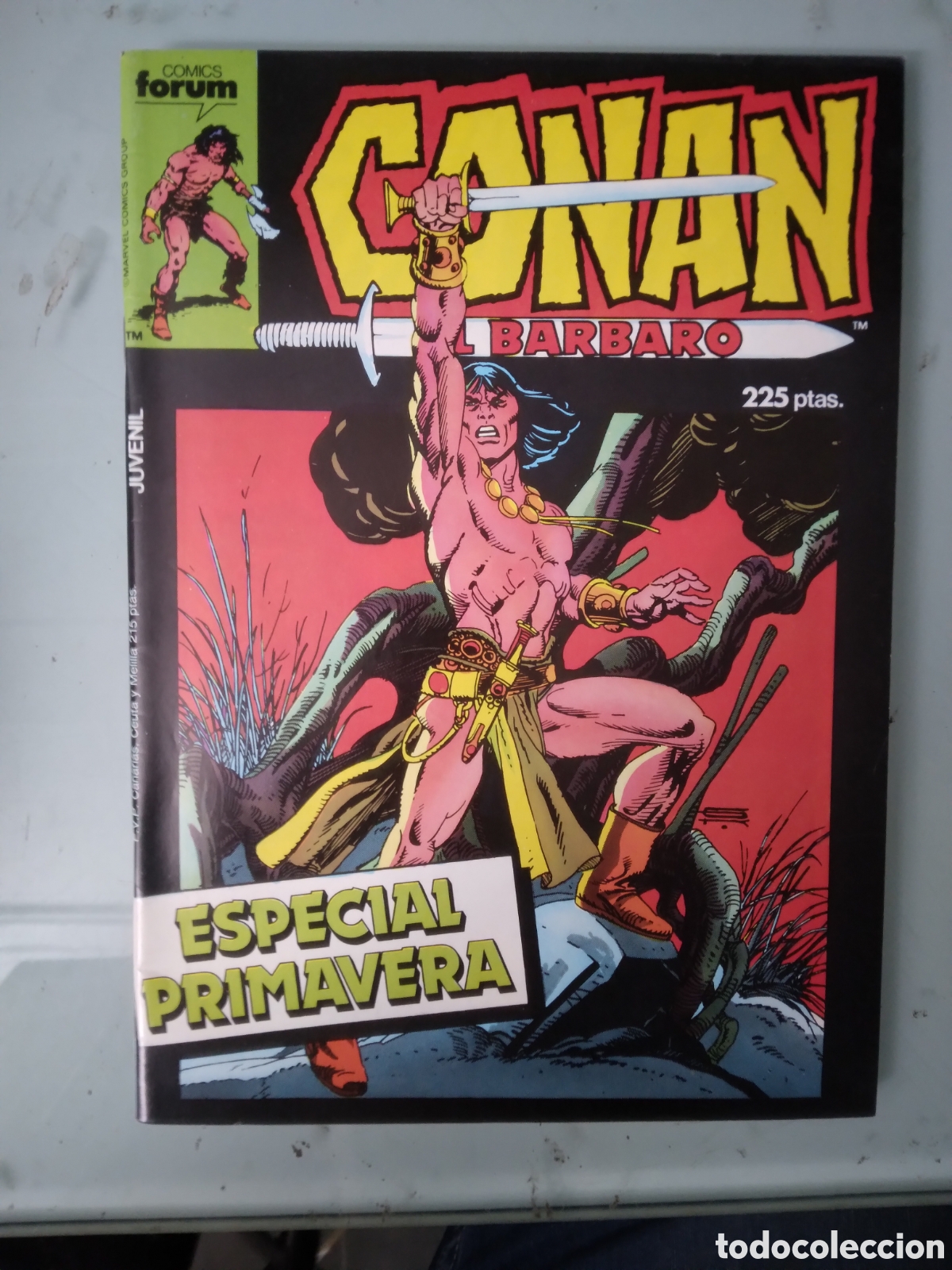 C&oacute;mics: Conan el barbaro, Comics Forum,Grapa 1 A, Especial Primavera - Foto 1