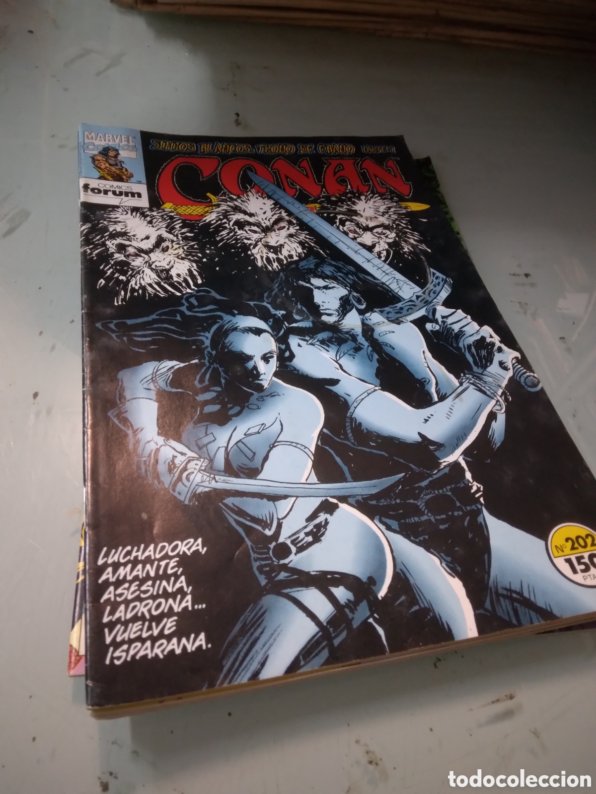 C&oacute;mics: Conan, Marvel Comics, Comics Forum, 15 &euro;/unid, Grapa 1A - Foto 1