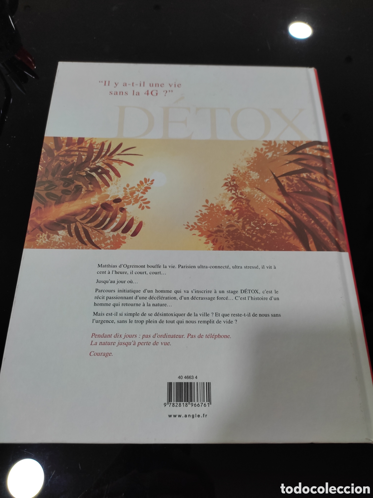 C&oacute;mics: D&eacute;tox. Jim & Antonin Gallo - Foto 4