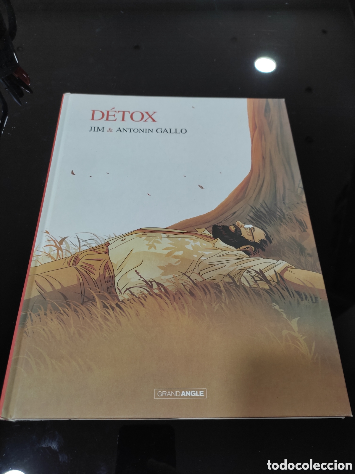 C&oacute;mics: D&eacute;tox. Jim & Antonin Gallo - Foto 1