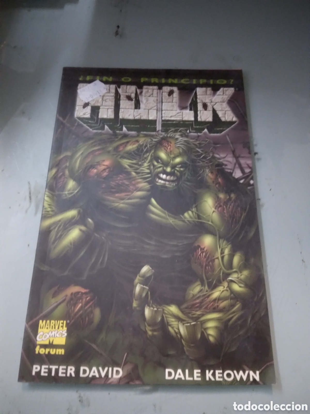 C&oacute;mics: Marvel Comics Forum, Hulk, Fin o principio, Grapa 1F - Foto 1