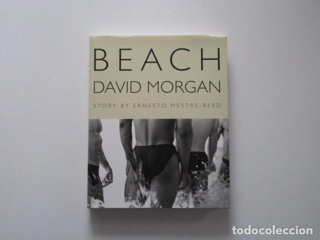 beach - playa - david morgan - desnudos masculi - Buy Unclassified