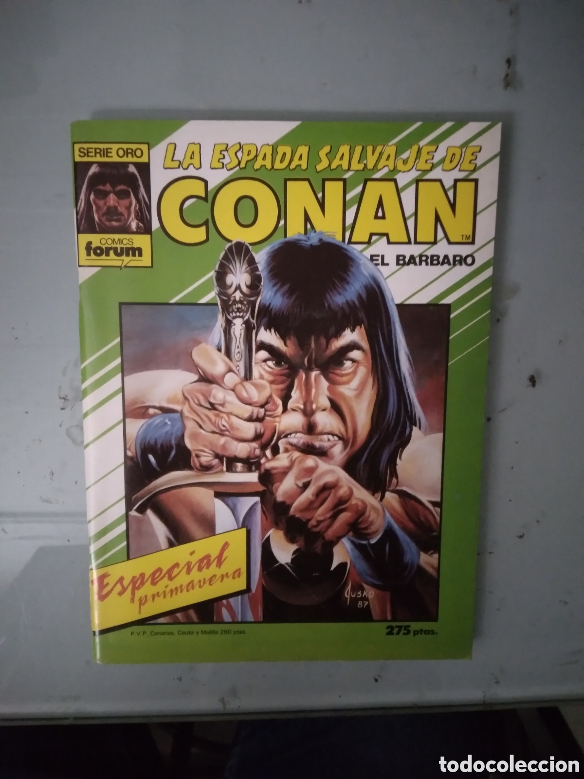 C&oacute;mics: La espada salvaje de Conan,Especial Primavera, Grapa 2H - Foto 1