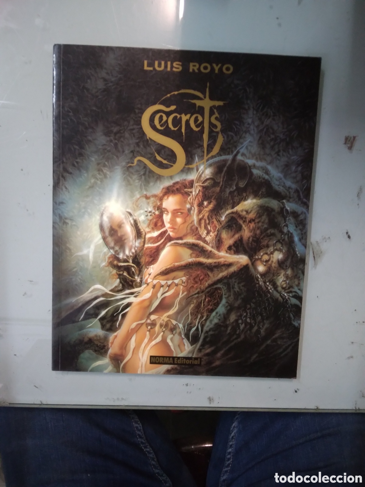 C&oacute;mics: Luis Royo, Secrets, Norma - Foto 1
