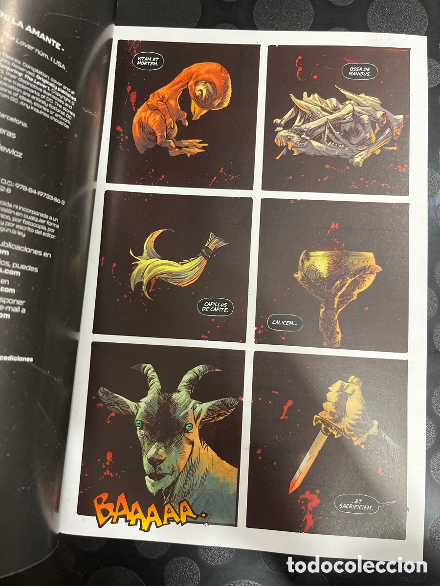 C&oacute;mics: EXPEDIENTE WARREN : LA AMANTE N.1 THE CONJURING DC HORROR ECC ( 2023/&hellip; ) - Foto 3