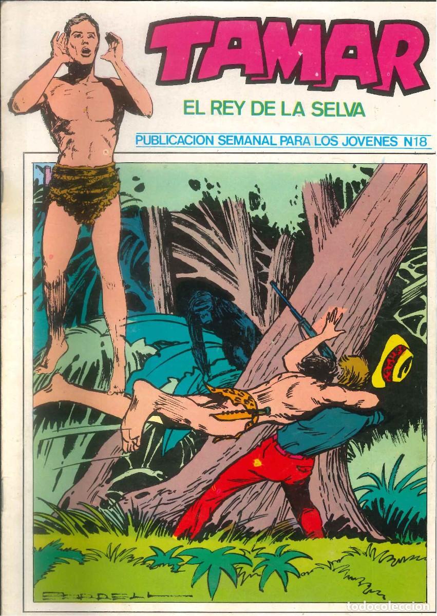 C&oacute;mics: TAMAR EL REY DE LA SELVA 18 - Foto 1