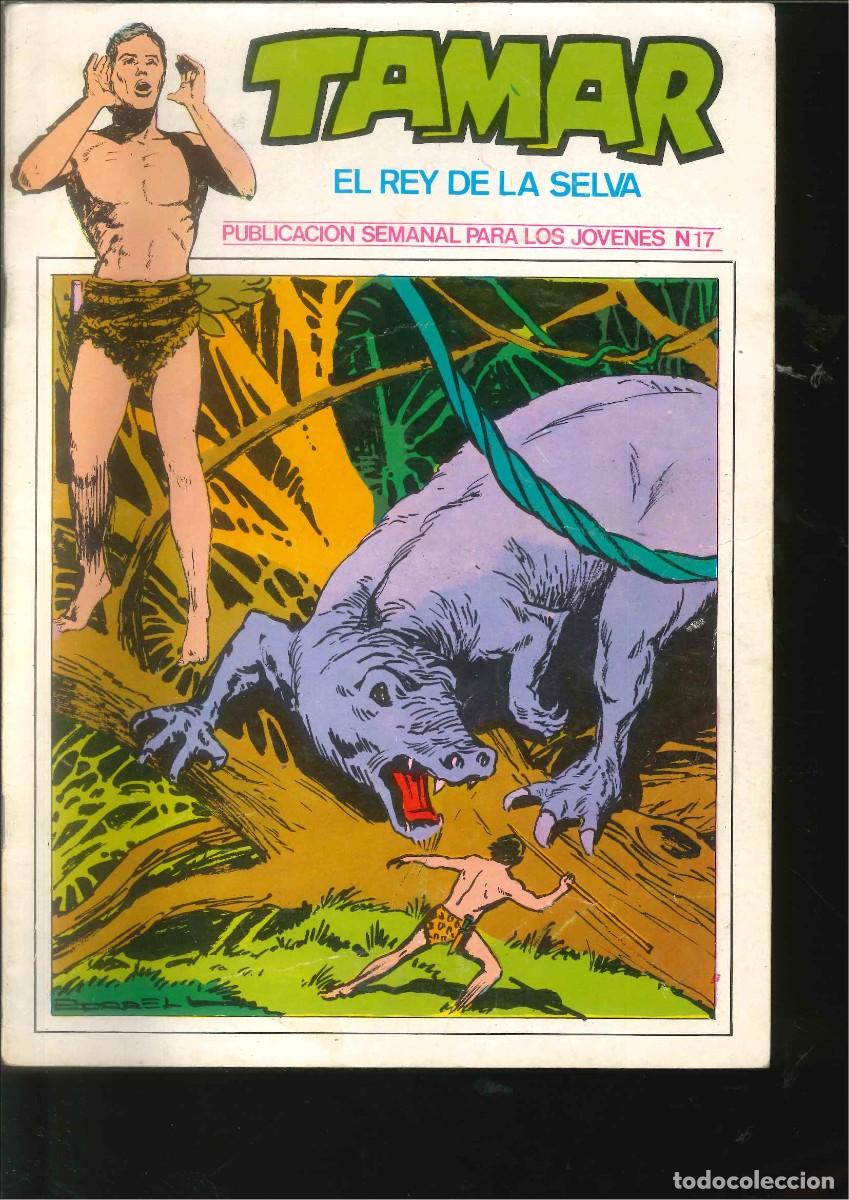 C&oacute;mics: TAMAR EL REY DE LA SELVA 17 - Foto 1