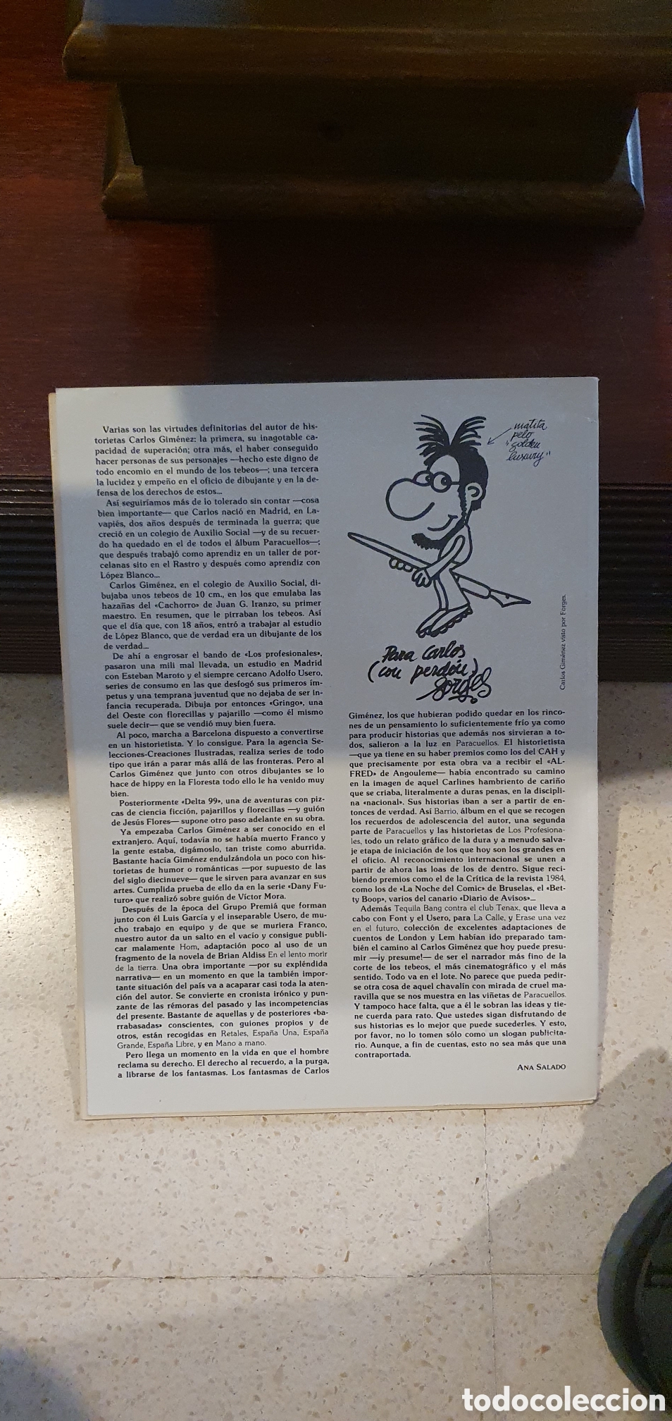 C&oacute;mics: Los profesionales 2.gimenez - Foto 2