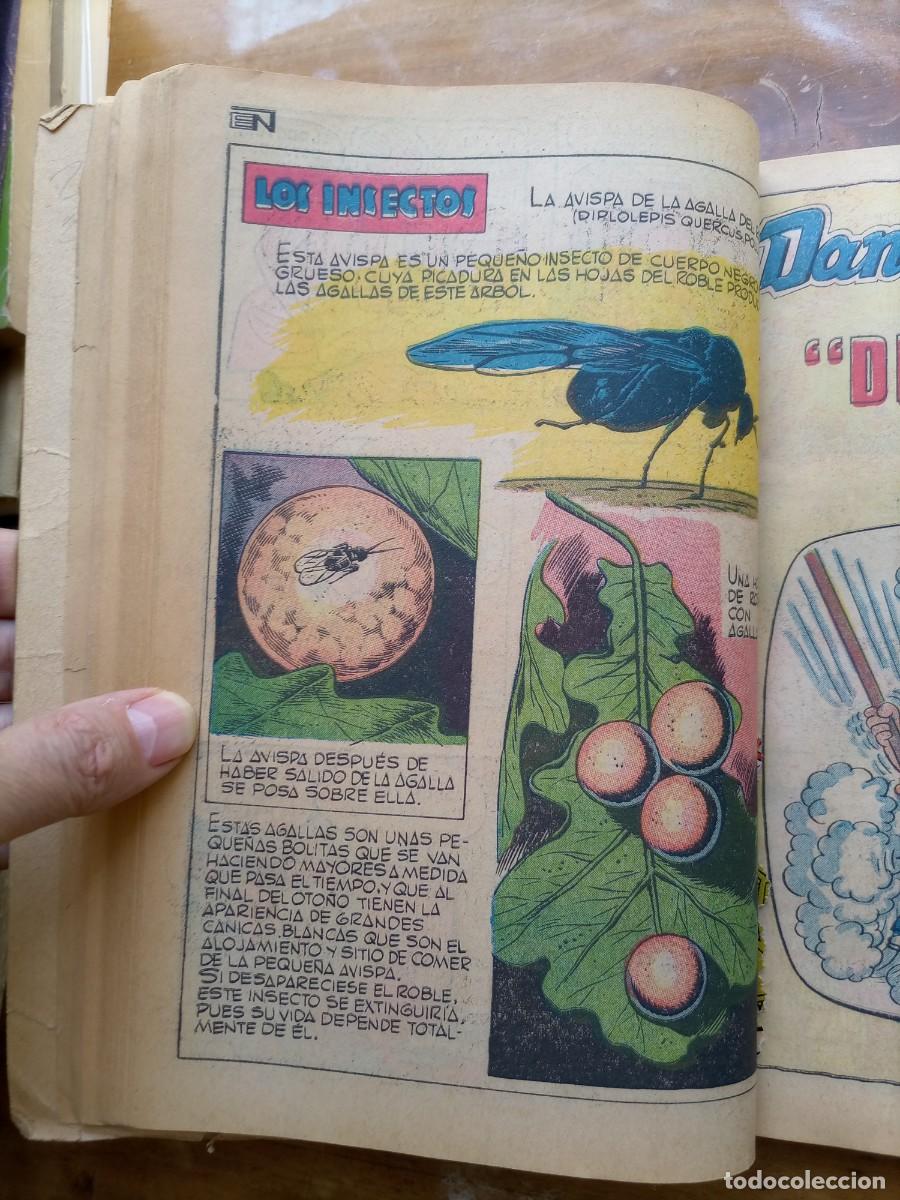 C&oacute;mics: Daniel el travieso M&eacute;xico - Foto 3
