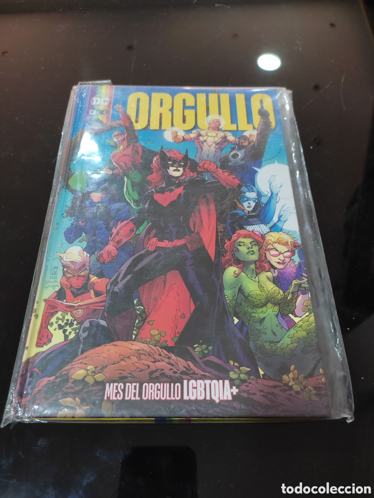 C&oacute;mics: Orgullo. Tomo Mes del Orgullo. DC - Foto 1