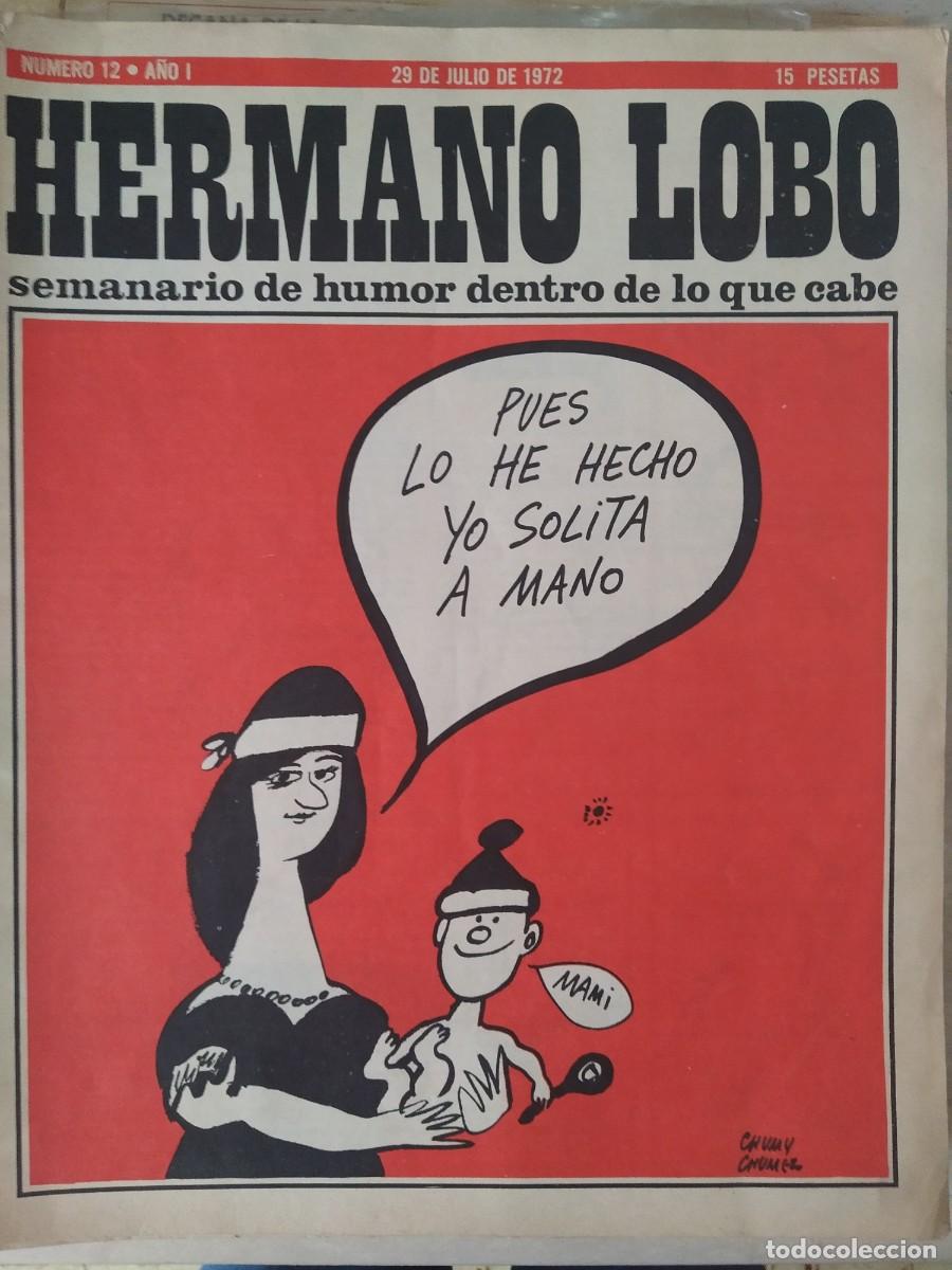 C&oacute;mics: Hermano Lobo. A&ntilde;o I N&ordm; 12 - Foto 1