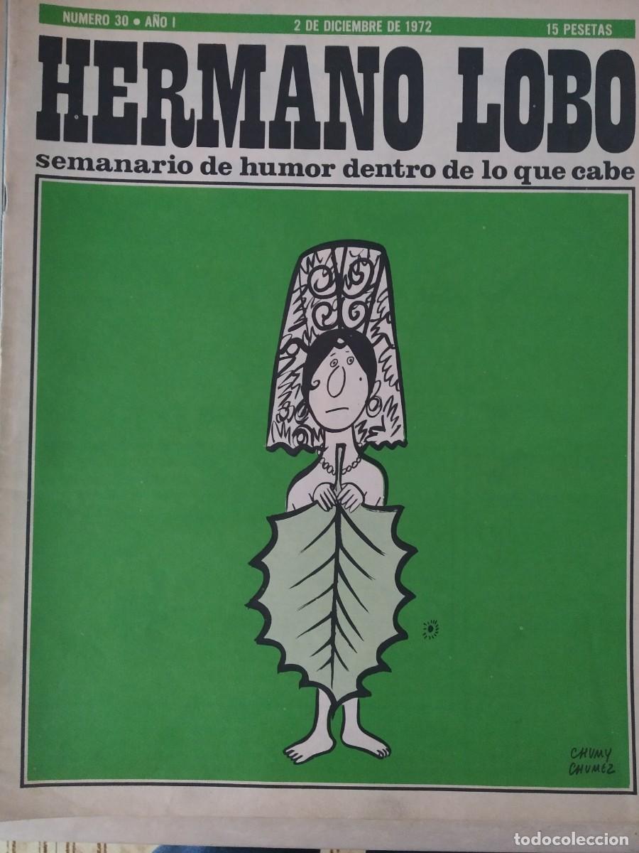 C&oacute;mics: Hermano Lobo. A&ntilde;o I N&ordm; 30 - Foto 1