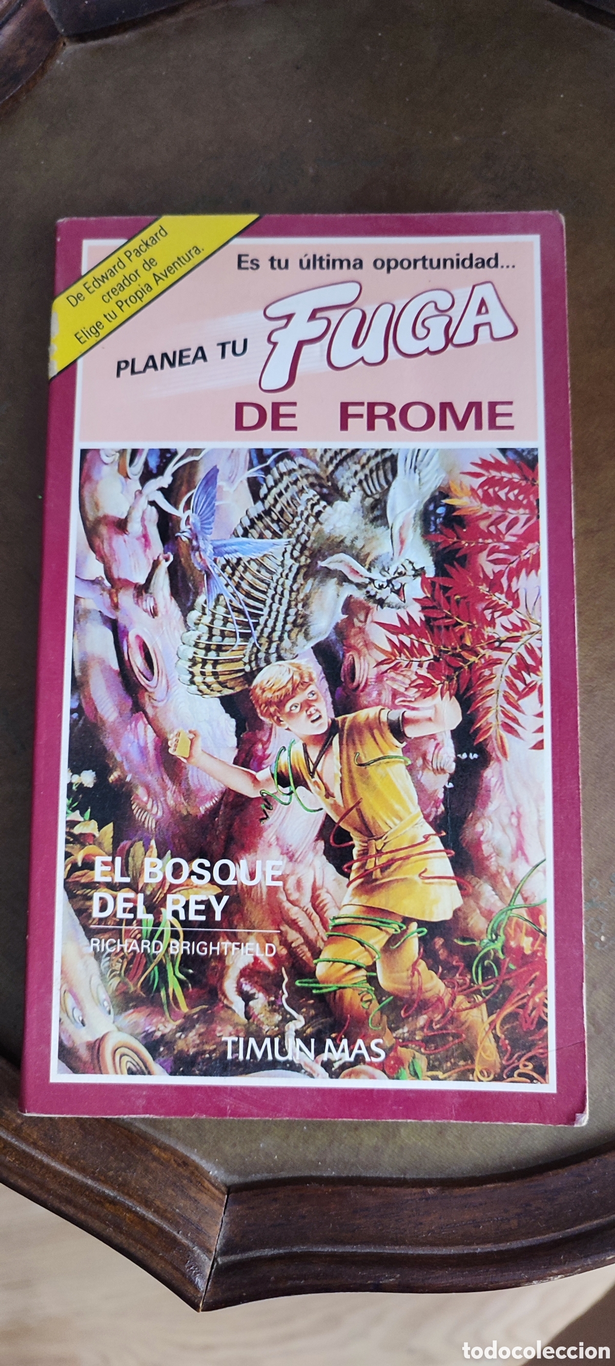 C&oacute;mics: LOTE DE 4 COMICS DE EDWARD PACKARD - Foto 5