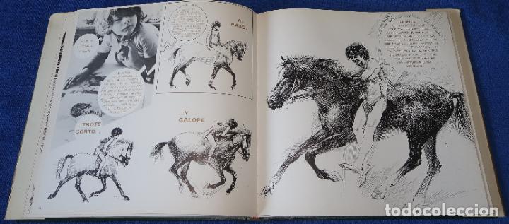C&oacute;mics: Muchachos - Alberto Mu&ntilde;iz S&aacute;nchez - Editor A.M.S - Madrid (1972) - Foto 13