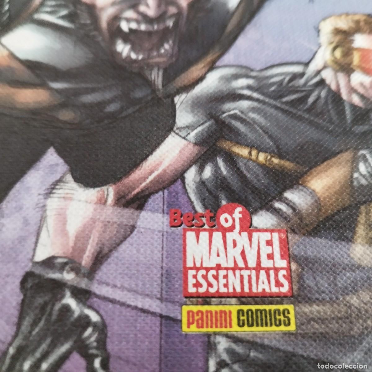 C&oacute;mics: ULTIMATE MEN / MARVEL, PANINI / CONS21B - Foto 3