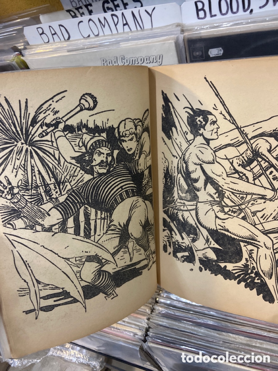 C&oacute;mics: Edgar rice tarzan painting book - Foto 4