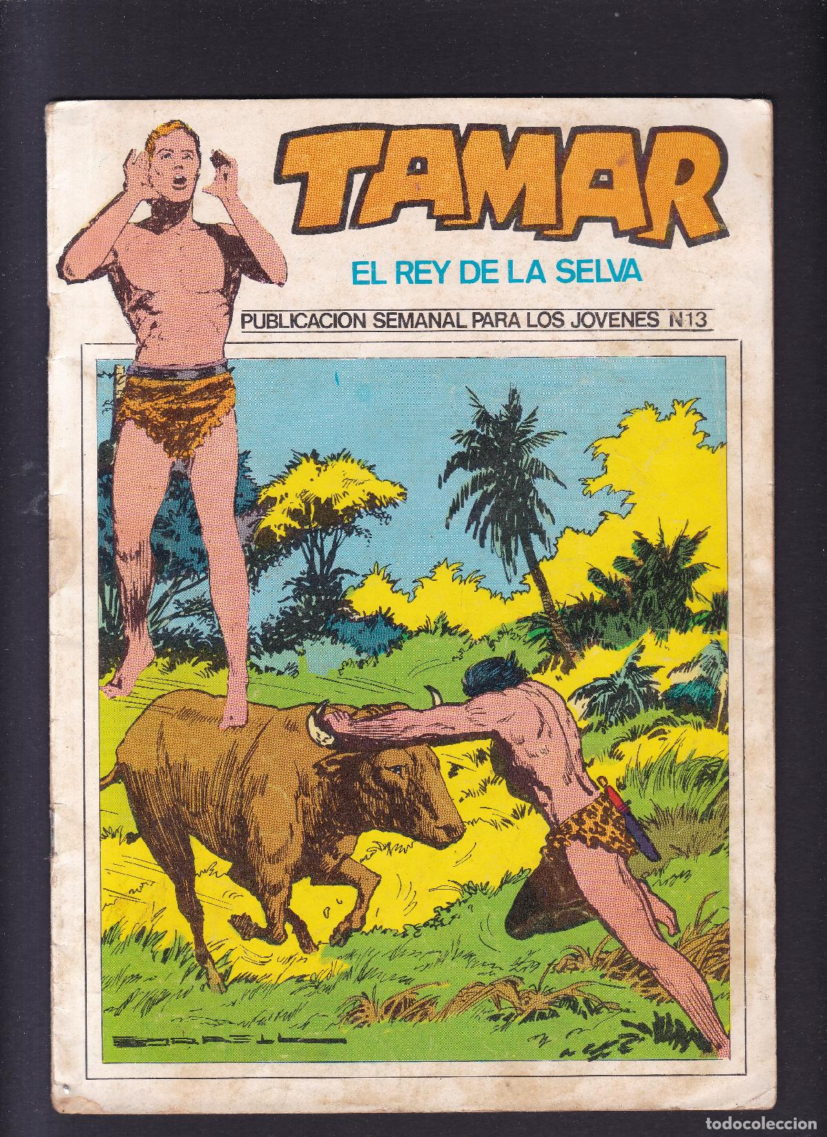 C&oacute;mics: TAMAR - EL REY DE LA SELVA - N&ordm; 13 - EDICIONES TORAY - Foto 1