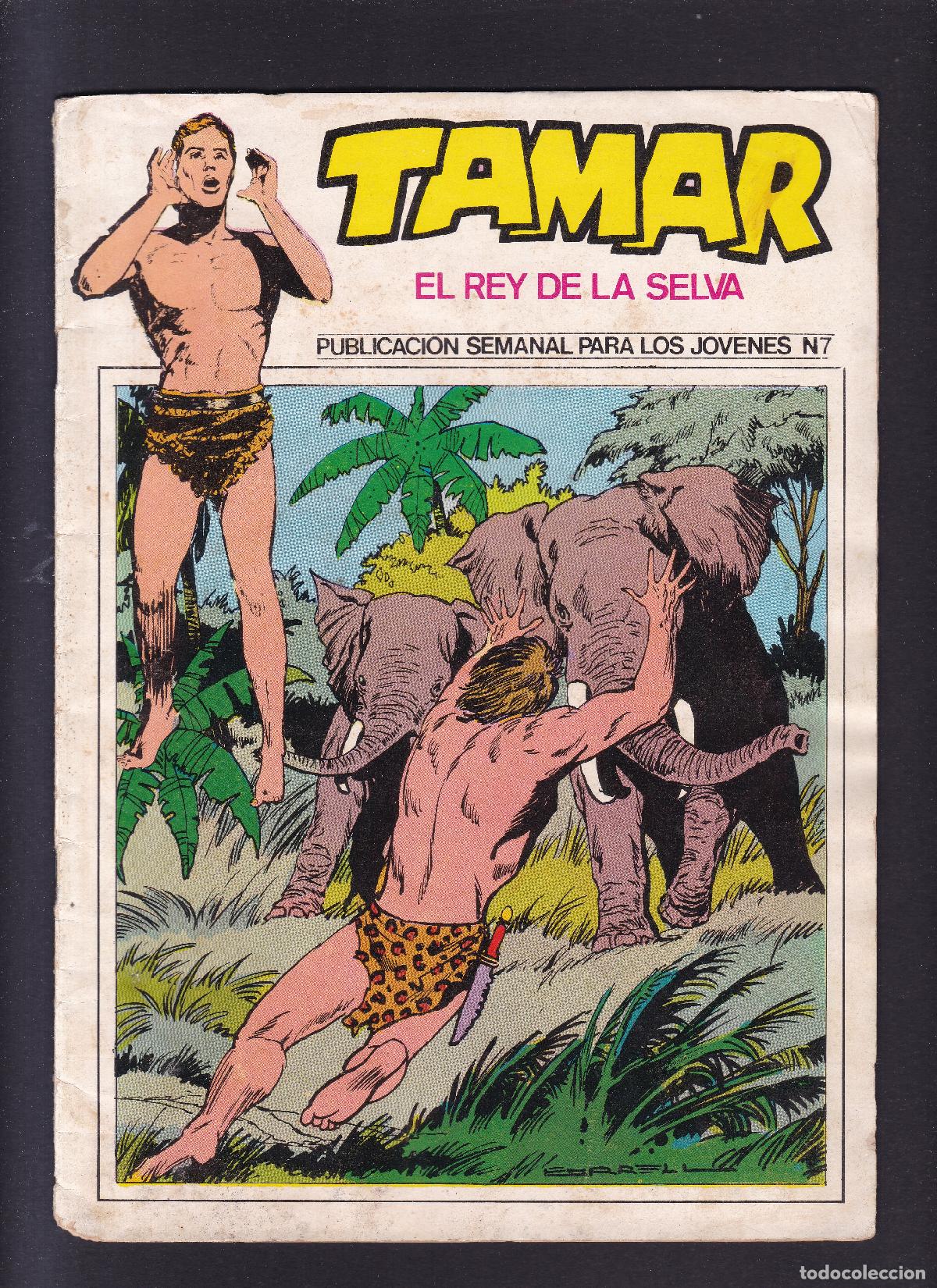 C&oacute;mics: TAMAR - EL REY DE LA SELVA - N&ordm; 7 - EDICIONES TORAY - Foto 1