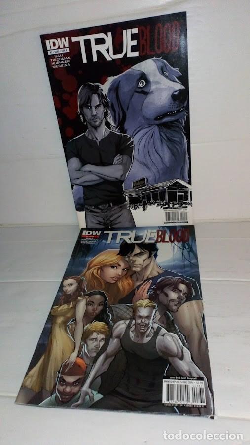 C&oacute;mics: Comic n&uacute;mero 1 y 2 IDW True Blood 2010 - Foto 2