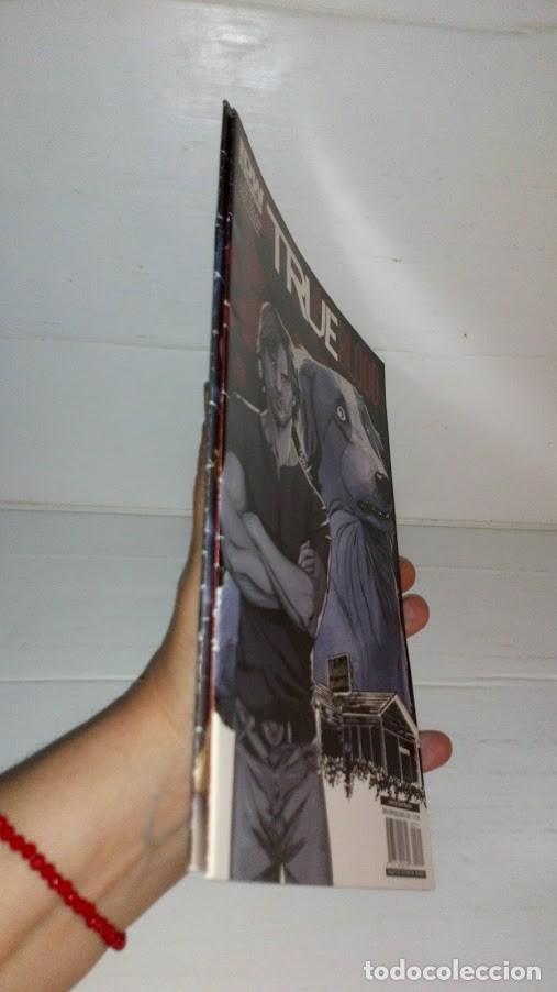 C&oacute;mics: Comic n&uacute;mero 1 y 2 IDW True Blood 2010 - Foto 4