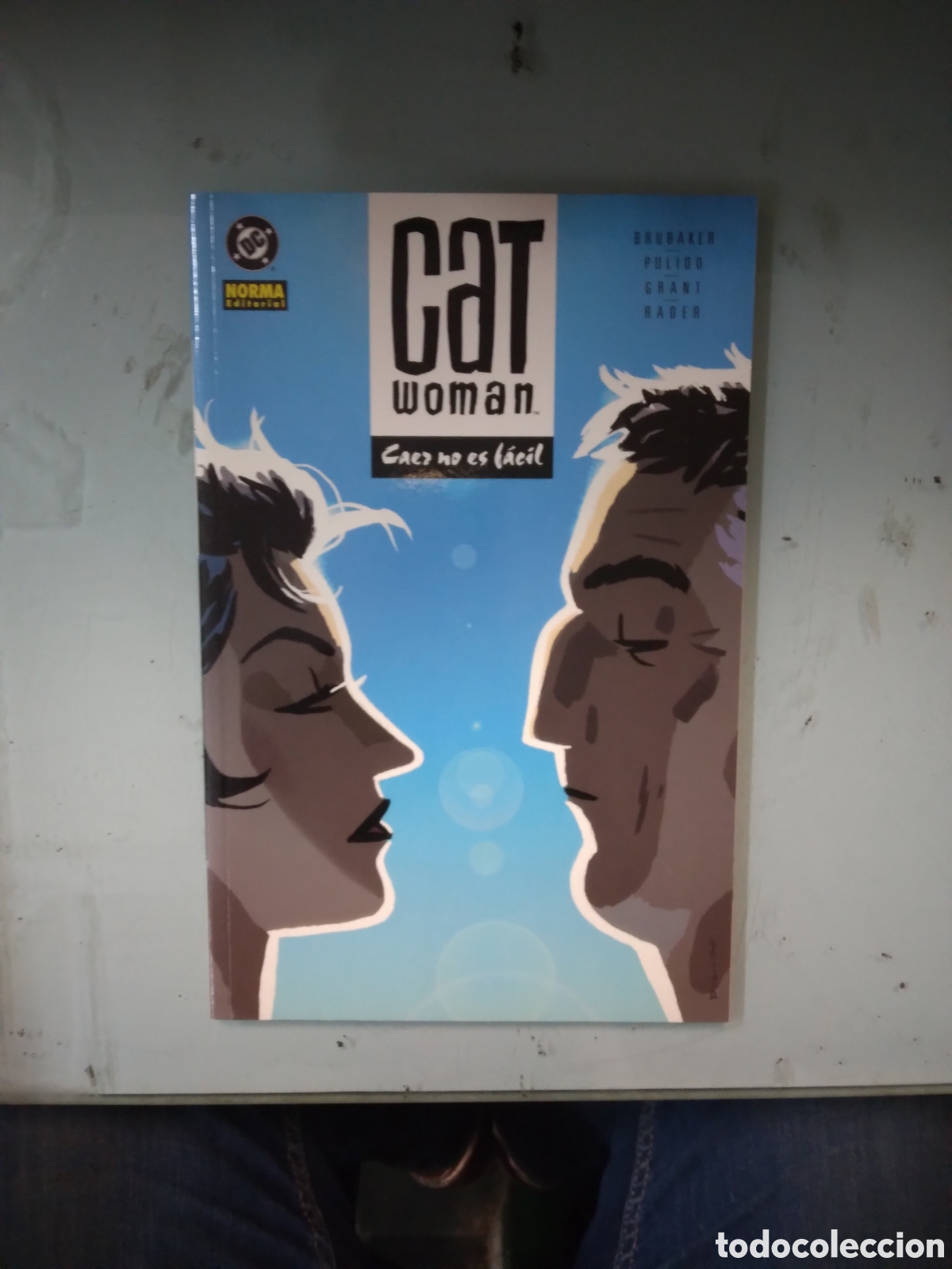 C&oacute;mics: Cat Woman, Caer no es f&aacute;cil, Norma, DC - Foto 1