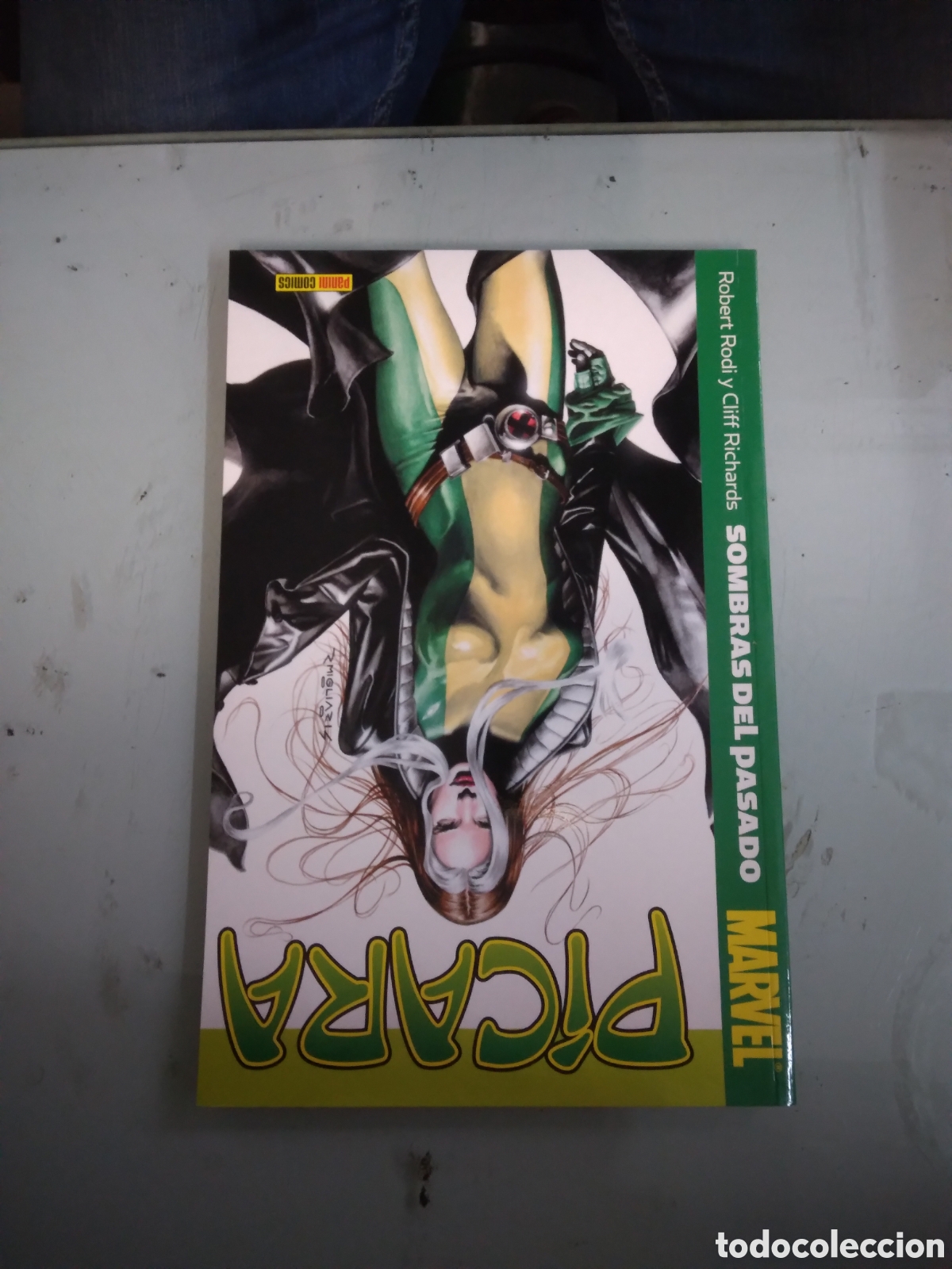 C&oacute;mics: Marvel, Picara, Sombras del.pasado, Robert Ridi, Panini Comics - Foto 1