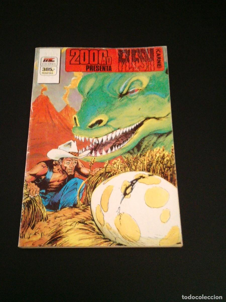 C&oacute;mics: 2000 AD PRESENTA FLESH - MC EDICIONES - SERIE 2000 - RETAPADO - CJ 197 - Foto 1