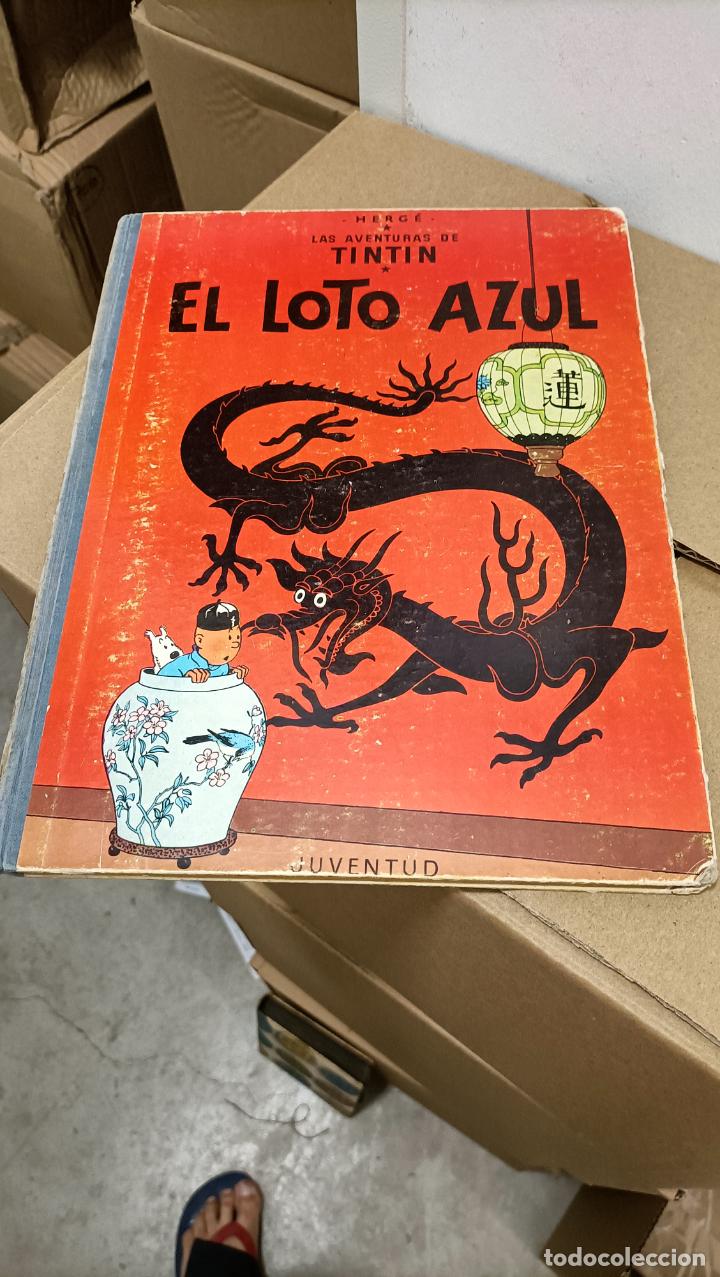 C&oacute;mics: el loto azul primera edicion 1965 - Foto 1