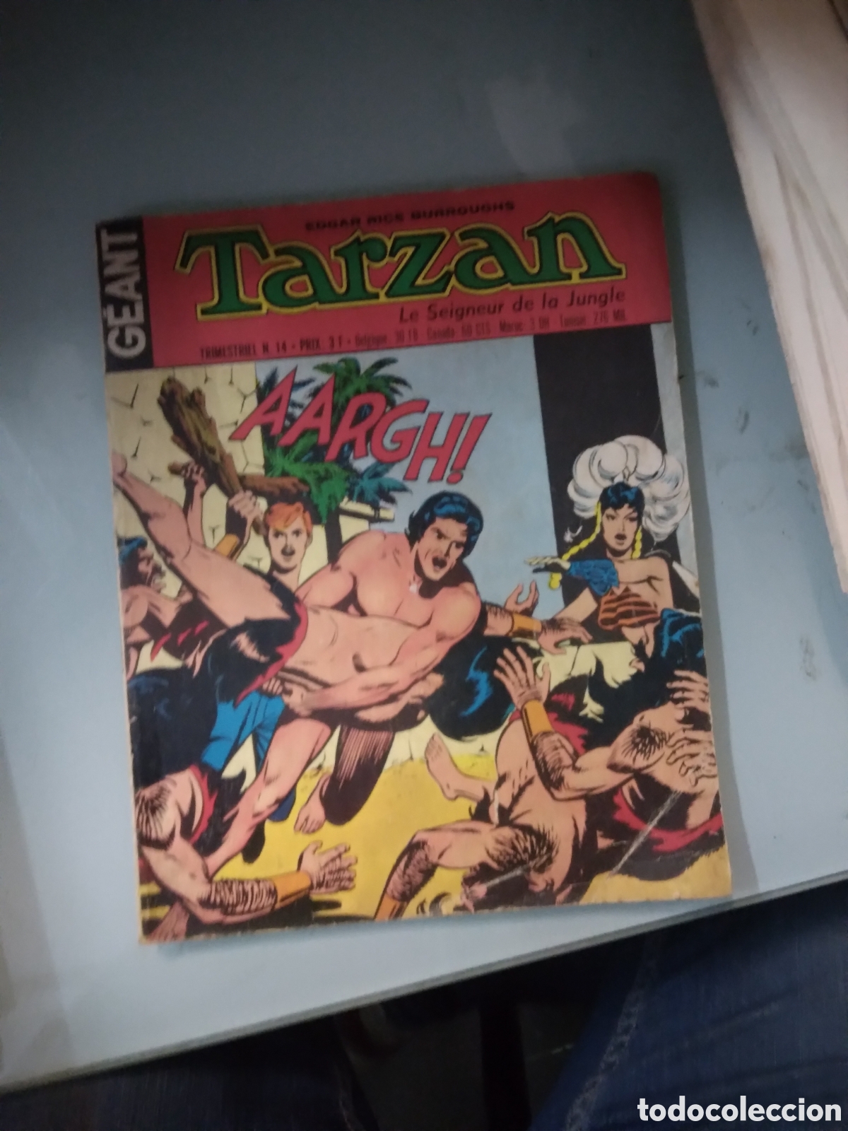 C&oacute;mics: Tarzan Geant, le seigneur de la jungle, 14 - Foto 1