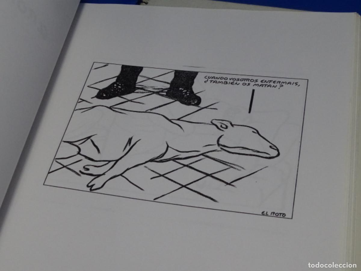 C&oacute;mics: 2 TOMOS ENCUADERNADOS DE VI&Ntilde;ETAS DE EL ROTO Y FORGES. - Foto 5