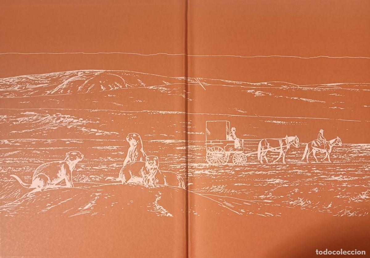 C&oacute;mics: BLACK HILLS 1890 - Foto 5