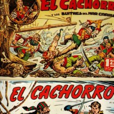 Cómics: EL CACHORRO. TOMOS 1,2,3,4,5,6,7,8,9,10,11,12,13,14,15,16,17,20 Y 24 (DE 27) IBERCOMIC,1985.