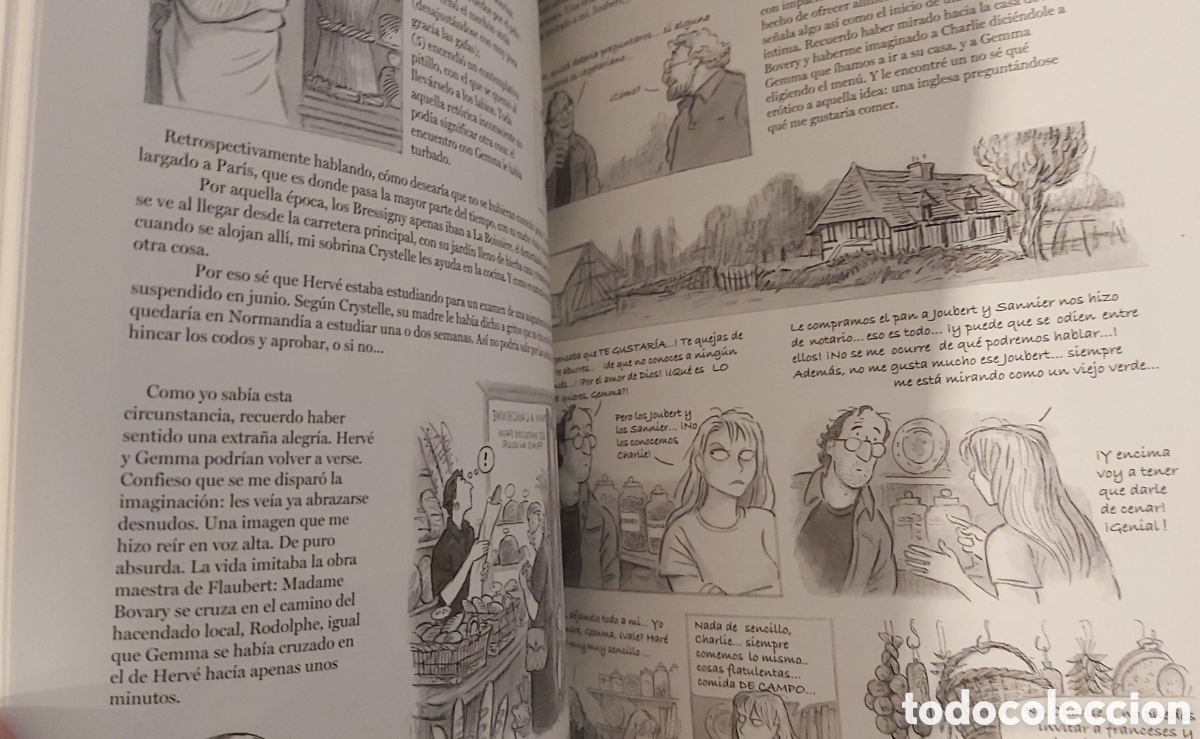C&oacute;mics: GEMMA BOVERY / POSY SIMMONDS (Tapa dura, 2010) - Foto 2