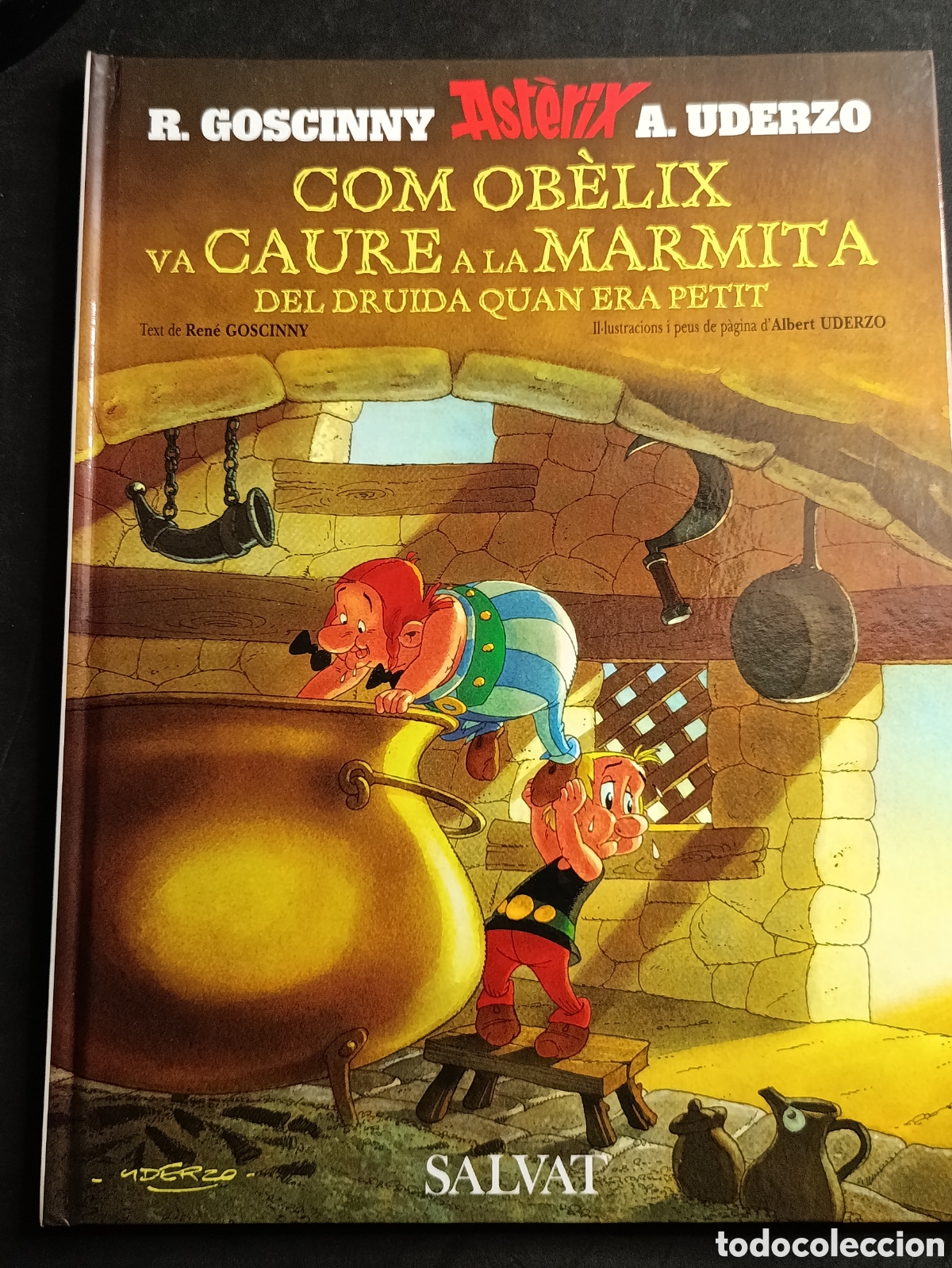 Comics : Com Ob&egrave;lix va caure a la marmita.